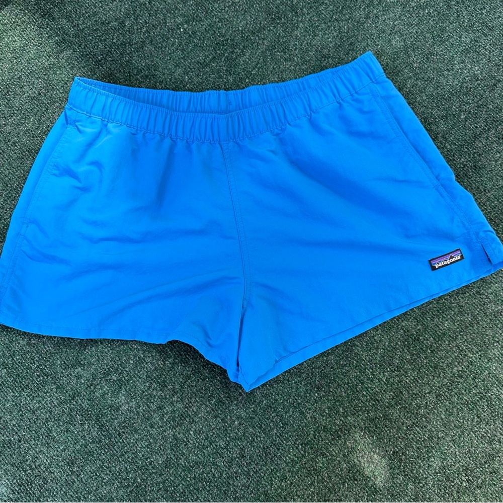 Patagonia Baggies Shorts Sz L